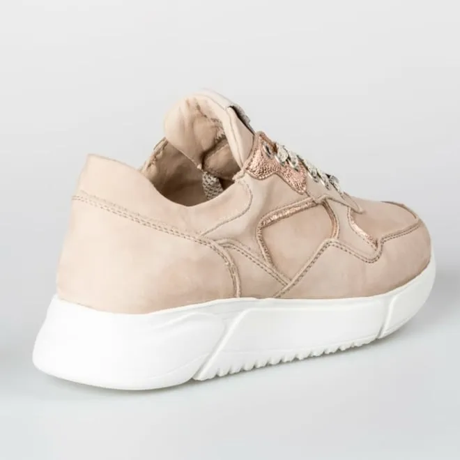 FOOTNOTES 61.002 3037